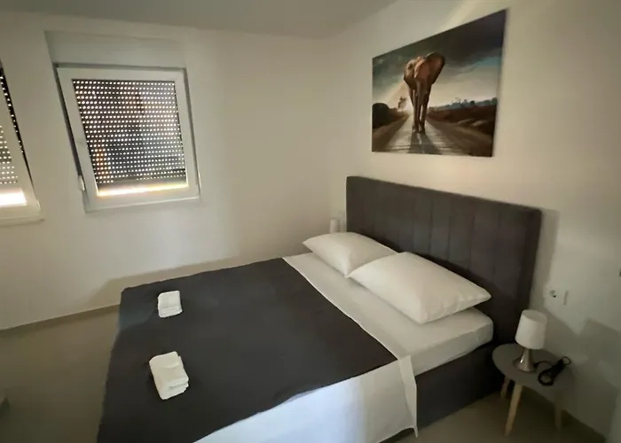 Doli Superior * Vrsi